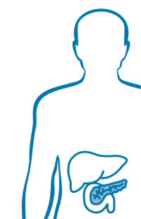 Bauchspeicheldrüse und Milz