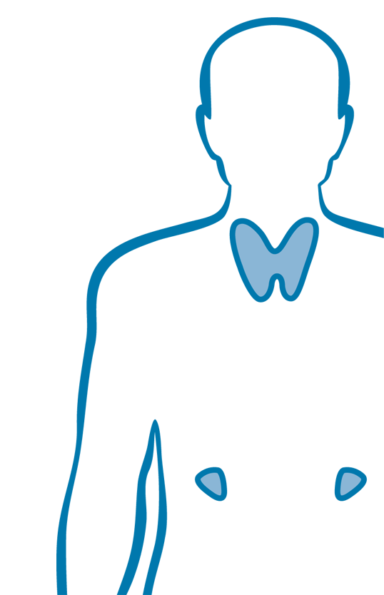 Endokrine Chirurgie (Schilddrüse, Nebennieren)